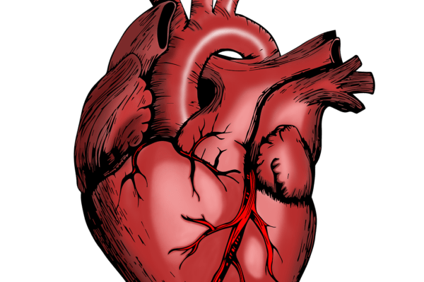 Diferentes tipos de cirurgia cardiovascular