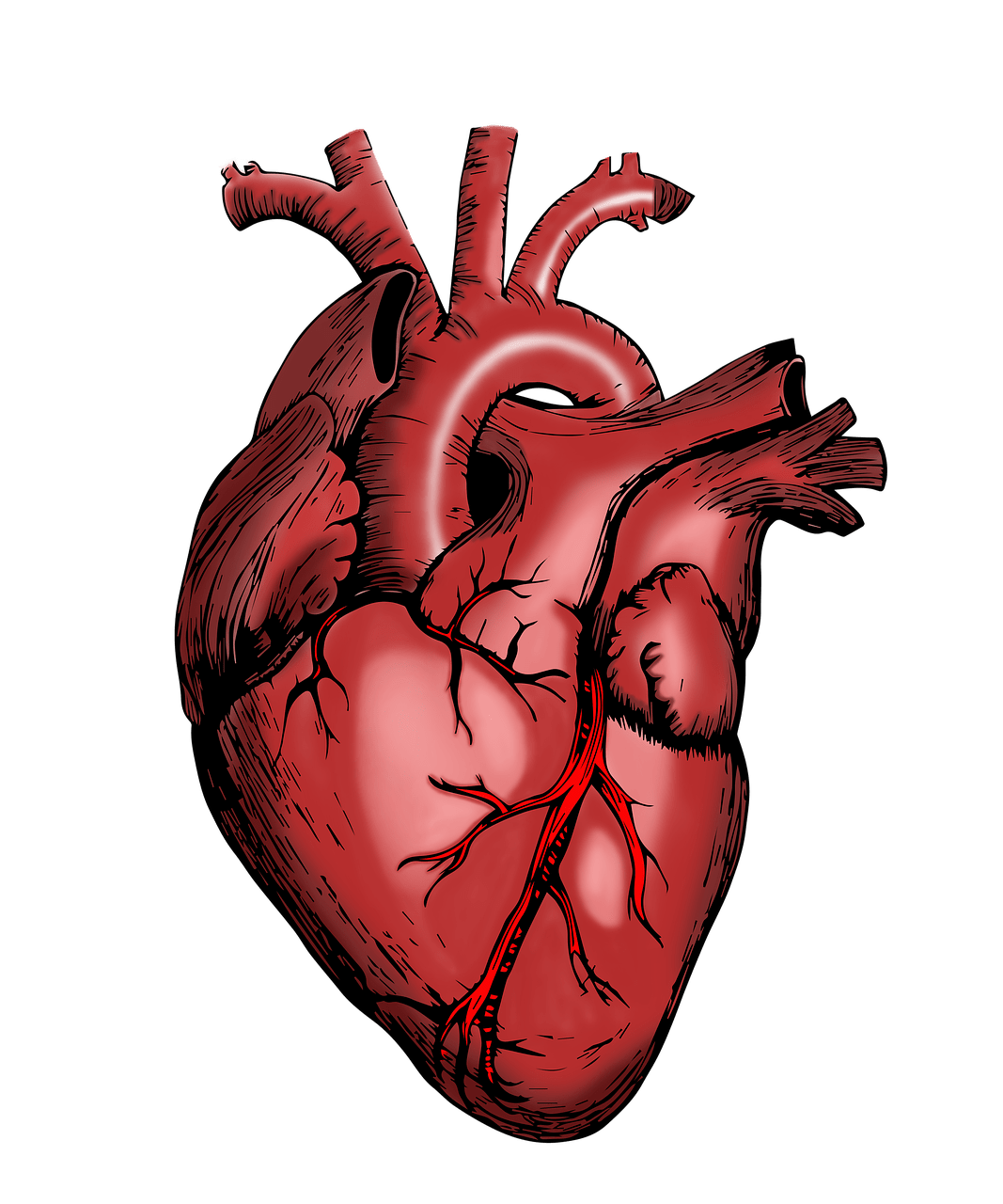 Diferentes tipos de cirurgia cardiovascular