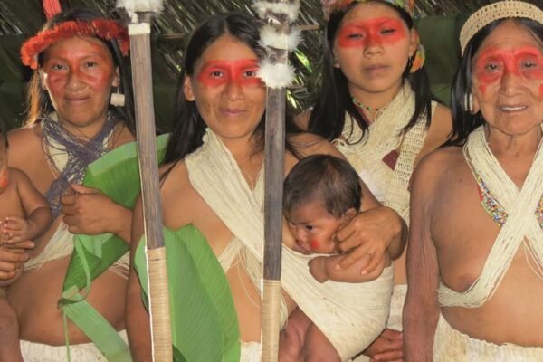As Tribos Indígenas da Floresta Amazônica