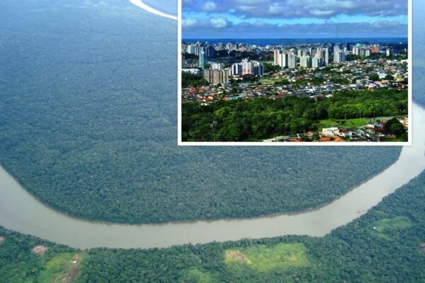 A Floresta Amazônica e a Conservação da Amazônia