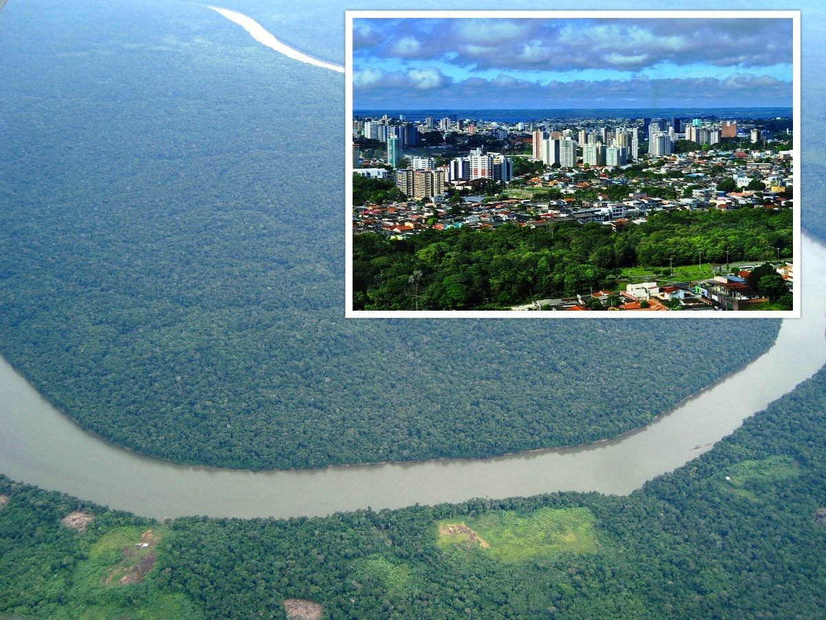 A Floresta Amazônica e a Conservação da Amazônia